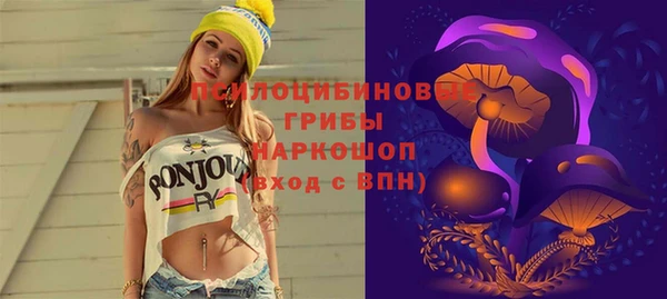 mdpv Елабуга