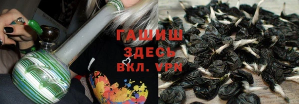 гашик Алексеевка