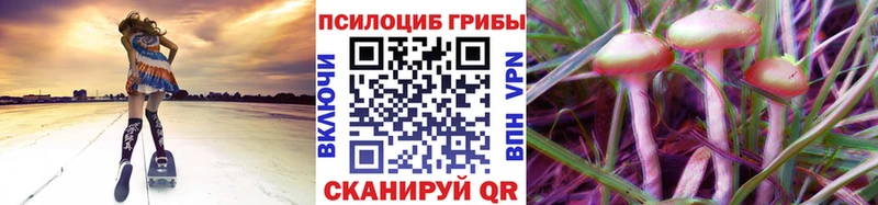Псилоцибиновые грибы Magic Shrooms  площадка телеграм  Архангельск  наркошоп 